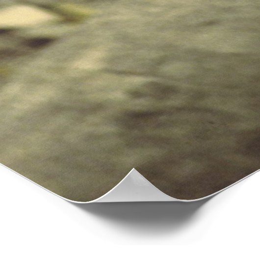 Black_jaguar art poster (Hoek)