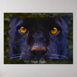 BLACK JAGUAR ~ BLACK PANTHER, grotere Art Print