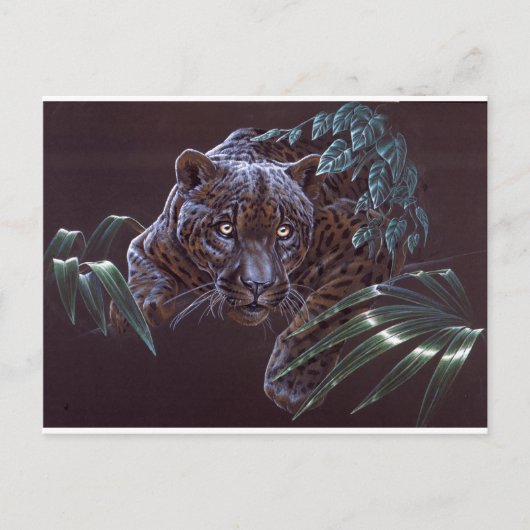 Black Jaguar Briefkaart (Voorkant)