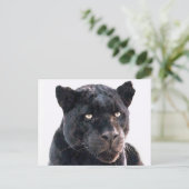 Black Jaguar Briefkaart (Staand voorkant)