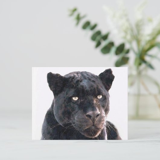 Black Jaguar Briefkaart (Staand voorkant)