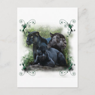 Black Jaguar Briefkaart