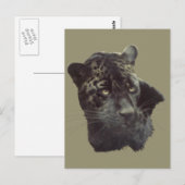 Black Jaguar Briefkaart (Voorkant / Achterkant)