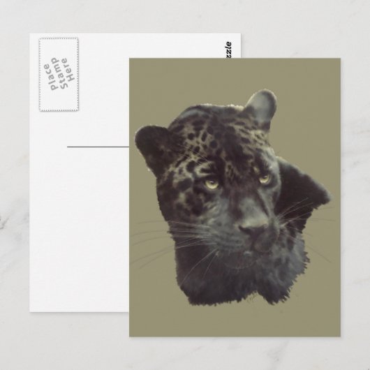 Black Jaguar Briefkaart (Voorkant / Achterkant)