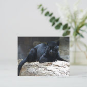 Black Jaguar Briefkaart (Staand voorkant)