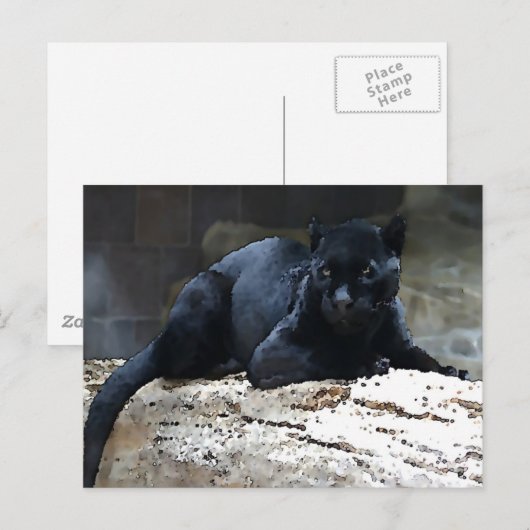 Black Jaguar Briefkaart (Voorkant / Achterkant)