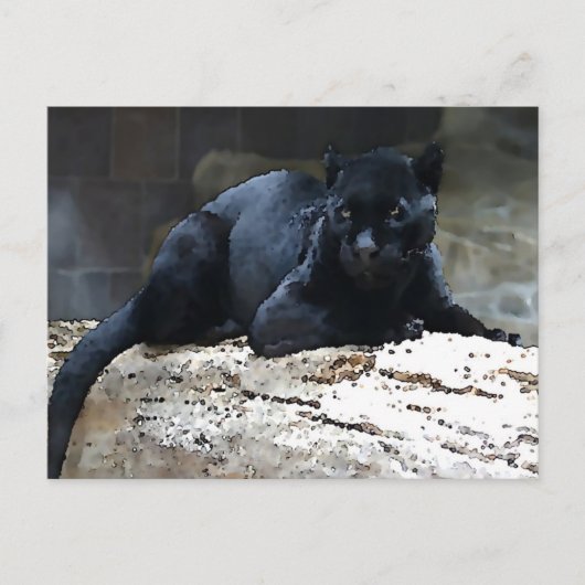 Black Jaguar Briefkaart (Voorkant)