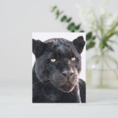 Black Jaguar Briefkaart (Staand voorkant)