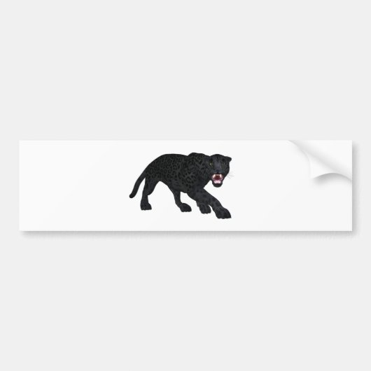 Black Jaguar Bumpersticker (Voorkant)