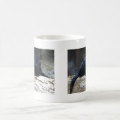 Black Jaguar Koffiemok (Center)