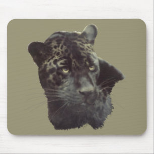 Black Jaguar Muismat