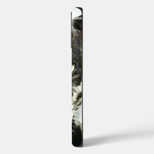 Black Jaguar Panther Case-Mate iPhone Case (Achterkant / Links)