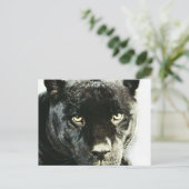Black Jaguar Panther Eyes Briefkaart (Staand voorkant)