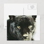 Black Jaguar Panther Eyes Briefkaart (Voorkant / Achterkant)