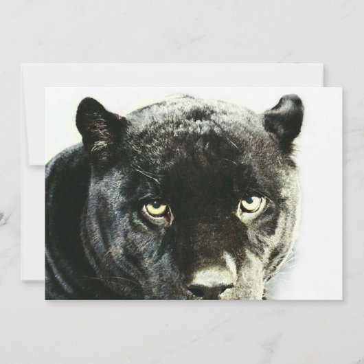 Black Jaguar Panther Eyes Uitnodiging (Voorkant)