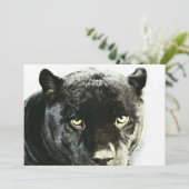 Black Jaguar Panther Eyes Uitnodiging (Staand voorkant)