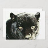 Black Jaguar Panther Eyes Uitnodiging (Voorkant / Achterkant)