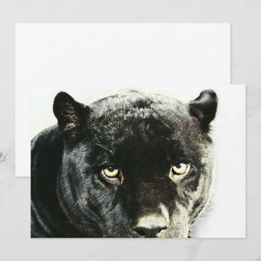 Black Jaguar Panther Eyes Uitnodiging (Voorkant / Achterkant)