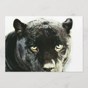 Black Jaguar Panther Eyes Uitnodiging