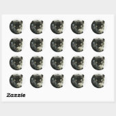 Black Jaguar Panther Ronde Sticker (Vel)