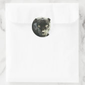 Black Jaguar Panther Ronde Sticker (Tas)