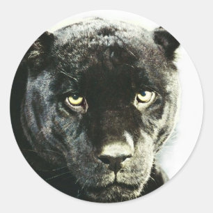 Black Jaguar Panther Ronde Sticker