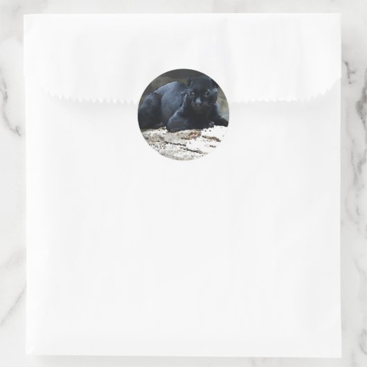 Black Jaguar Ronde Sticker (Tas)