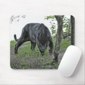 Black Jaguar Stalking Mousepad Muismat (Met muis)