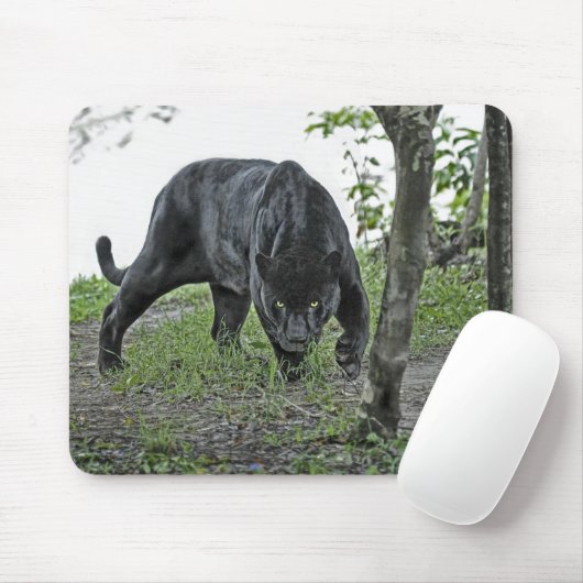 Black Jaguar Stalking Mousepad Muismat (Met muis)