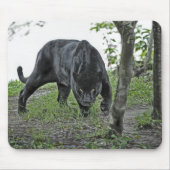 Black Jaguar Stalking Mousepad Muismat (Voorkant)