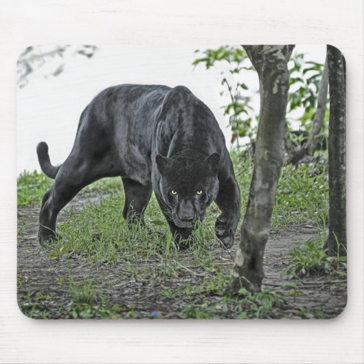 Black Jaguar Stalking Mousepad Muismat (Voorkant)