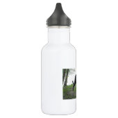 Black Jaguar Stalking Waterfles (Links)