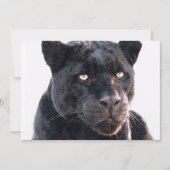 Black Jaguar Uitnodiging (Voorkant)
