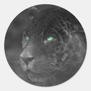 Black Jaguars Emerald Gaze Ronde Sticker