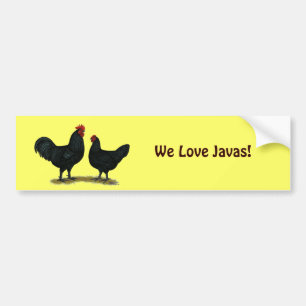Black Java Chickens Bumpersticker