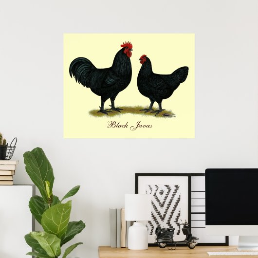Black Java Chickens Poster (Thuiskantoor)
