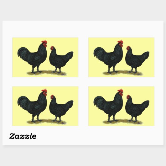 Black Java Chickens Rechthoekige Sticker (Vel)