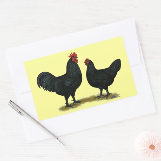 Black Java Chickens Rechthoekige Sticker (Envelop)