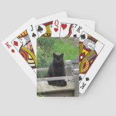 Black Kat Bridge-spelkaarten Pokerkaarten (Achterkant)