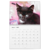 Black Katten Photo Wall Agenda Kalender (Mar 2027)
