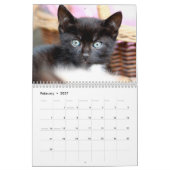Black Katten Photo Wall Agenda Kalender (Feb 2027)