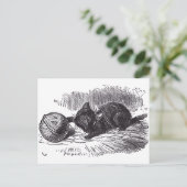 Black Kitten Briefkaart (Staand voorkant)