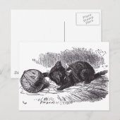 Black Kitten Briefkaart (Voorkant / Achterkant)
