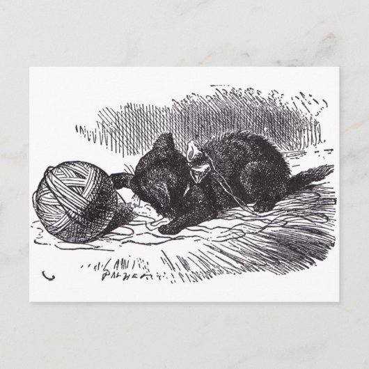 Black Kitten Briefkaart (Voorkant)