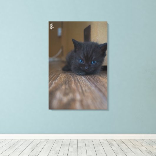 Black Kitten Canvas Afdruk (Insitu (Houten vloer))
