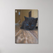 Black Kitten Canvas Afdruk (Voorkant)