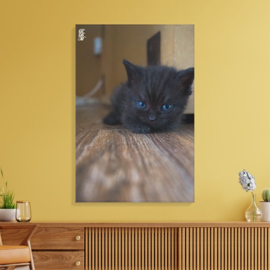 Black Kitten Canvas Afdruk (Insitu (Woonkamer))
