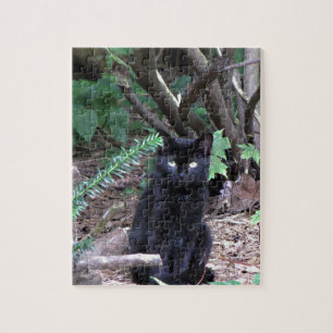 Black Kitten Cat Legpuzzel