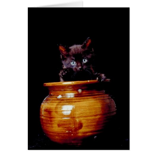 Black Kitten die uit de keramische pot-Kaart sprin (Voorkant)