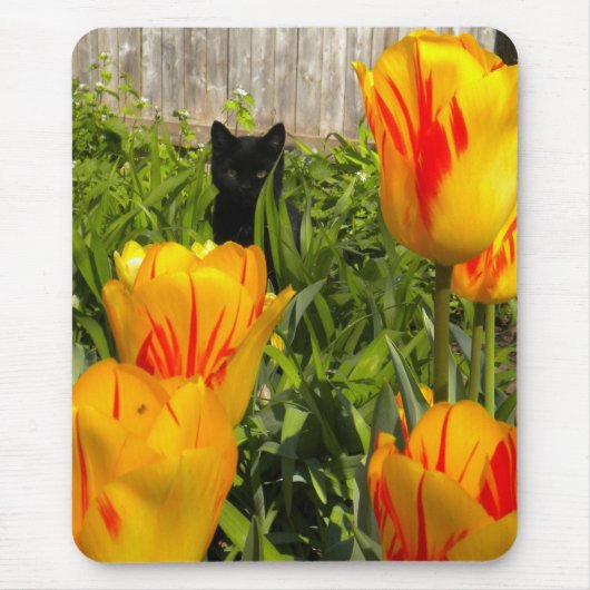 Black Kitten in de Tulip Garden Mousepad Muismat (Voorkant)